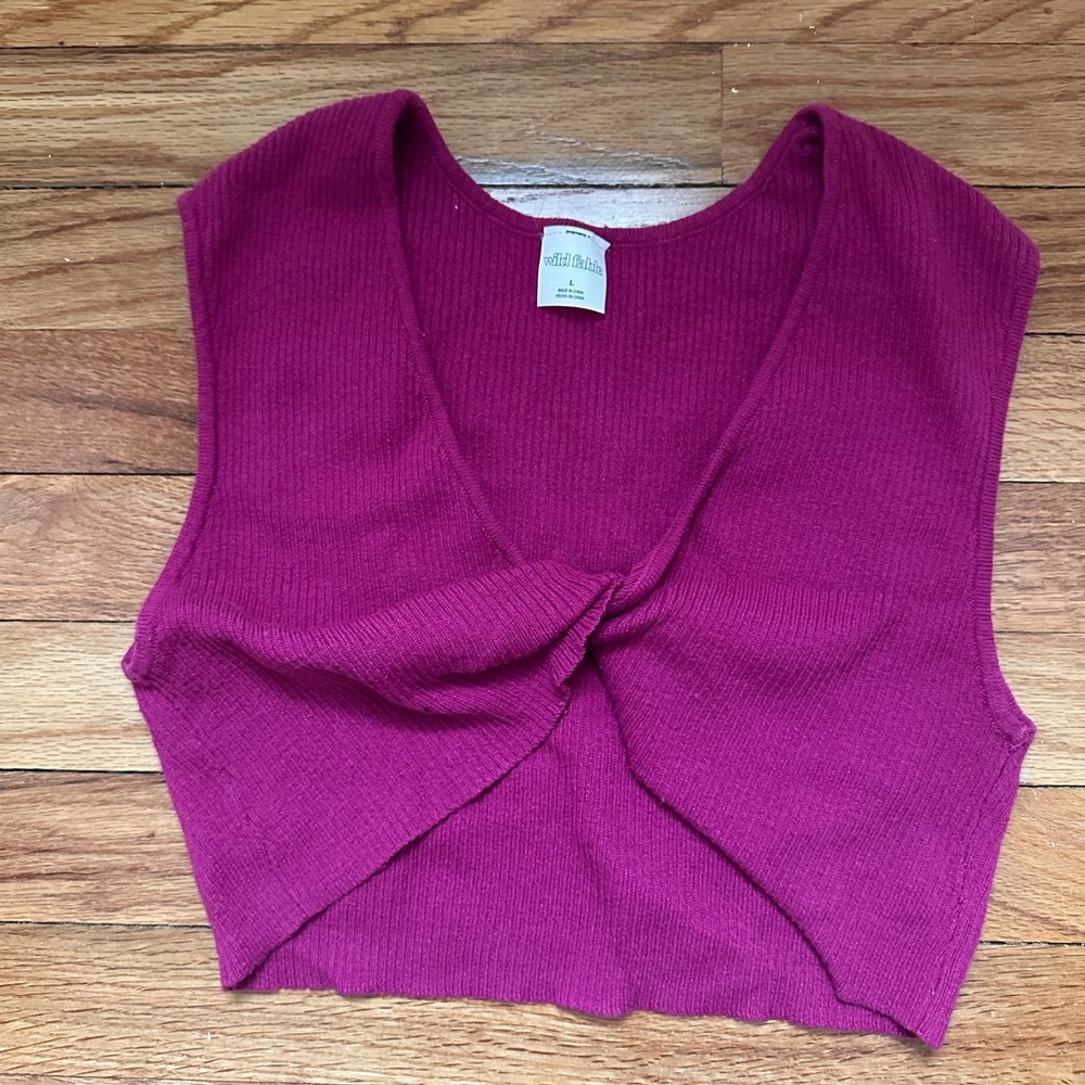 Wild Fable Fuchsia Knit Crop Top